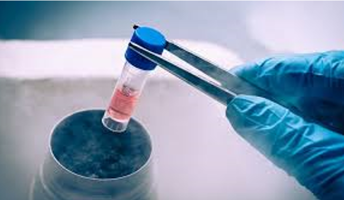 ایمن تر شدن پیوند برای کودکان با استفاده از دوز منحصر بفرد داروی آماده‌سازی پیوند سلول‌های بنیادی 